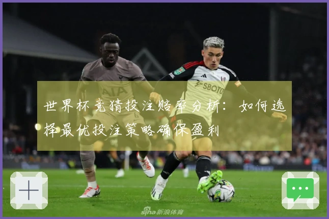 世界杯竞猜投注赔率分析：如何选择最优投注策略确保盈利