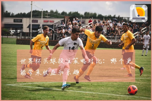 世界杯买球投注策略对比：哪个更能带来收益和乐趣