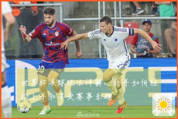 世界杯滚球玩法详解，新手如何轻松上手和享受赛事乐趣