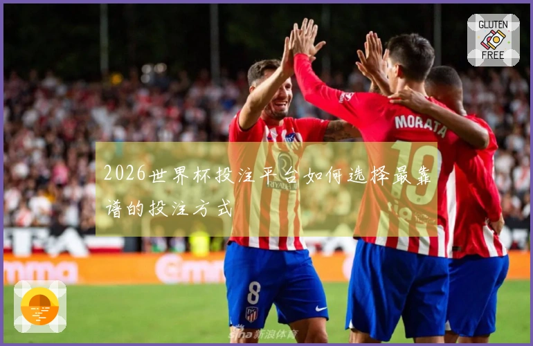 2026世界杯投注平台如何选择最靠谱的投注方式