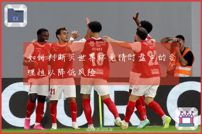 如何判断买世界杯竞猜时盘口的合理性以降低风险