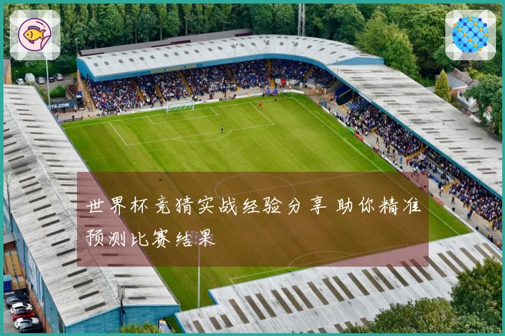 世界杯竞猜实战经验分享 助你精准预测比赛结果