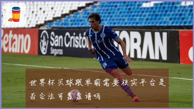 世界杯买球跟单前需要核实平台是否合法可靠靠谱吗