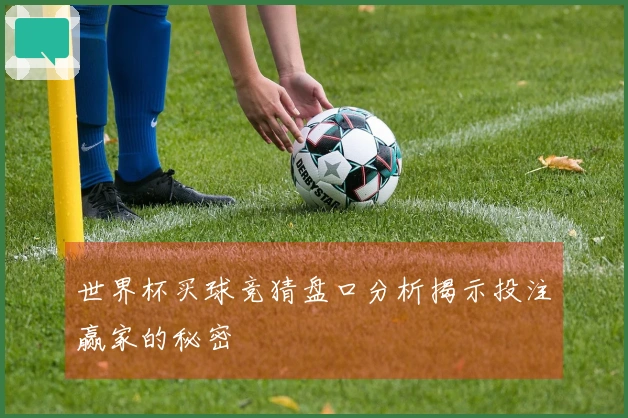 世界杯买球竞猜盘口分析揭示投注赢家的秘密