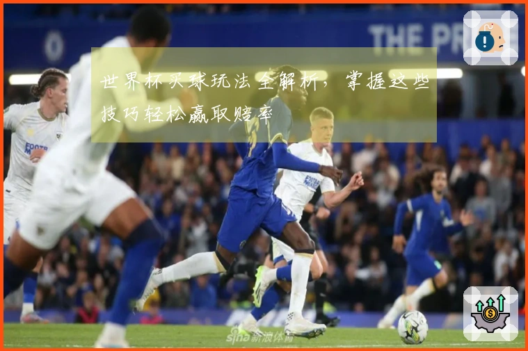 世界杯买球玩法全解析，掌握这些技巧轻松赢取赔率