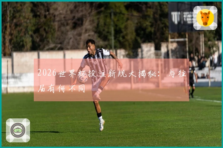 2026世界杯投注新规大揭秘：与往届有何不同