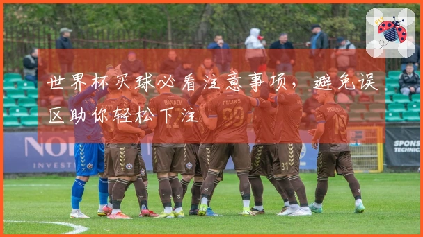 世界杯买球必看注意事项，避免误区助你轻松下注