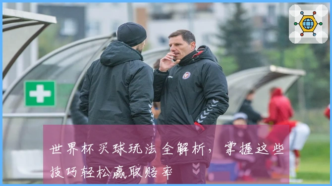 世界杯买球玩法全解析，掌握这些技巧轻松赢取赔率