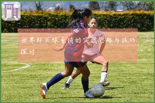 世界杯买球竞猜的实战思路与技巧探讨