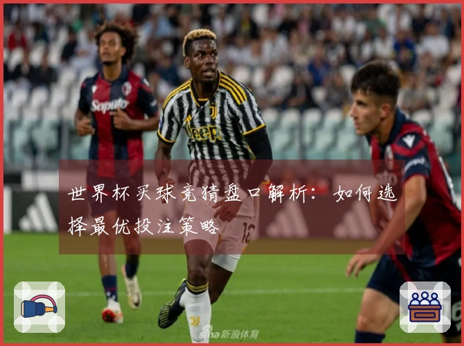 世界杯买球竞猜盘口解析：如何选择最优投注策略