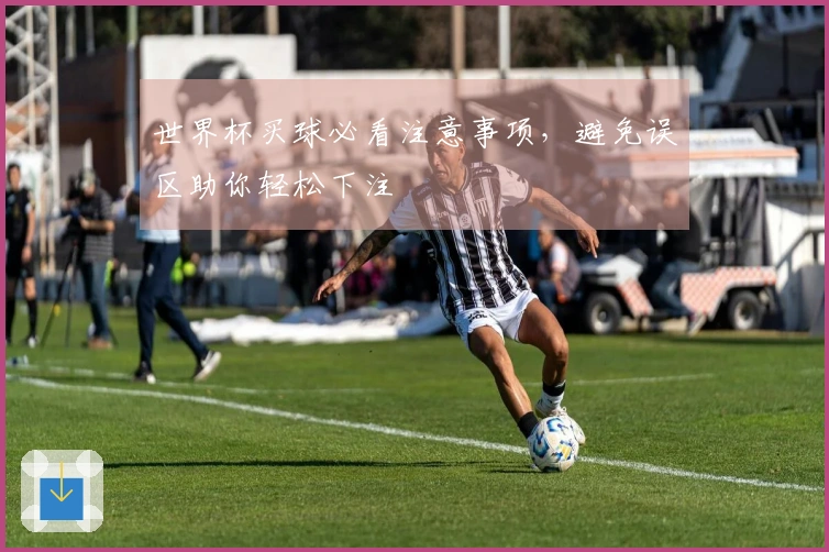 世界杯买球必看注意事项，避免误区助你轻松下注
