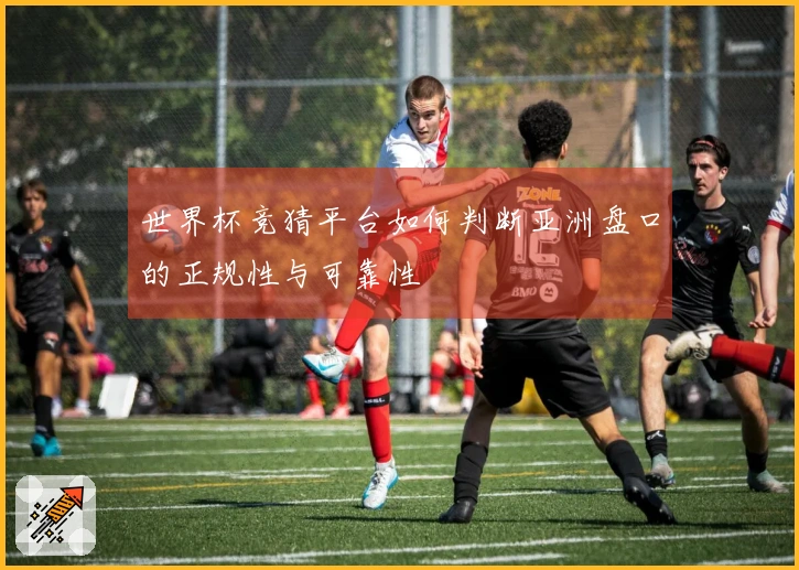 世界杯竞猜平台如何判断亚洲盘口的正规性与可靠性