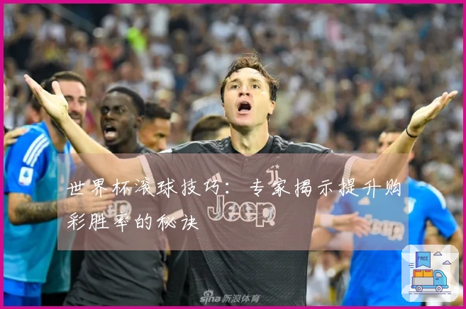 世界杯滚球技巧：专家揭示提升购彩胜率的秘诀