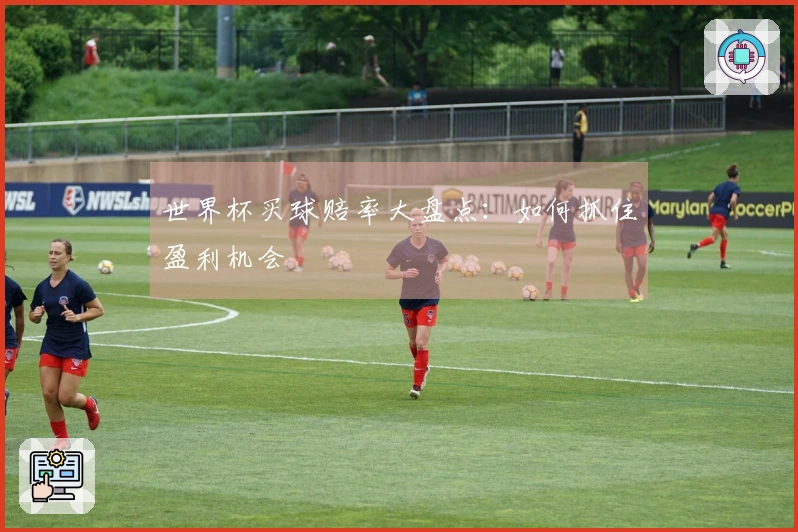 世界杯买球赔率大盘点：如何抓住盈利机会