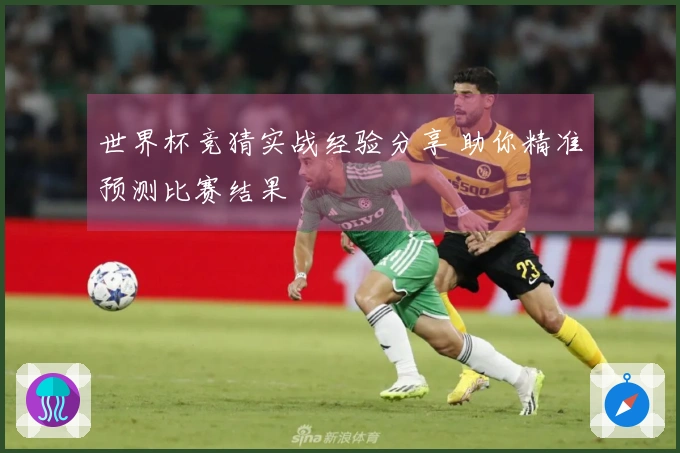 世界杯竞猜实战经验分享 助你精准预测比赛结果