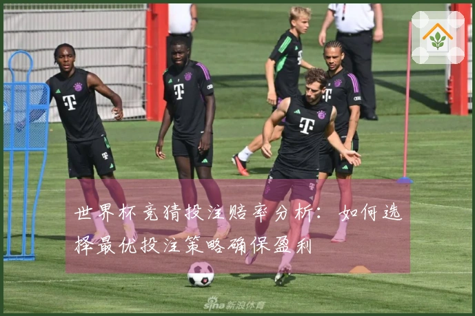 世界杯竞猜投注赔率分析：如何选择最优投注策略确保盈利