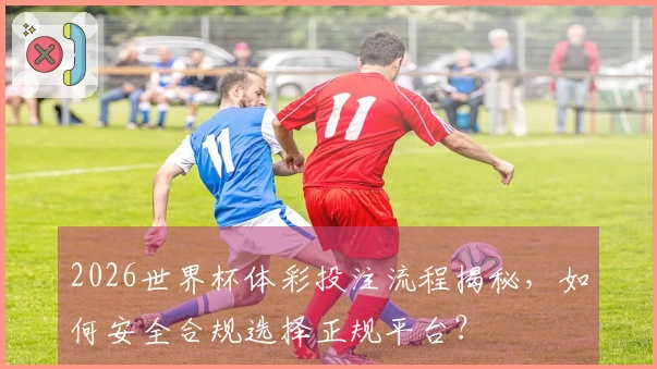 2026世界杯体彩投注流程揭秘，如何安全合规选择正规平台？